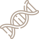 Piktogramm: DNS. Link zum Angebot: Englisch für Lebenswissenschaften Piktogramm: DNS. Link zum Angebot: Englisch für Lebenswissenschaften